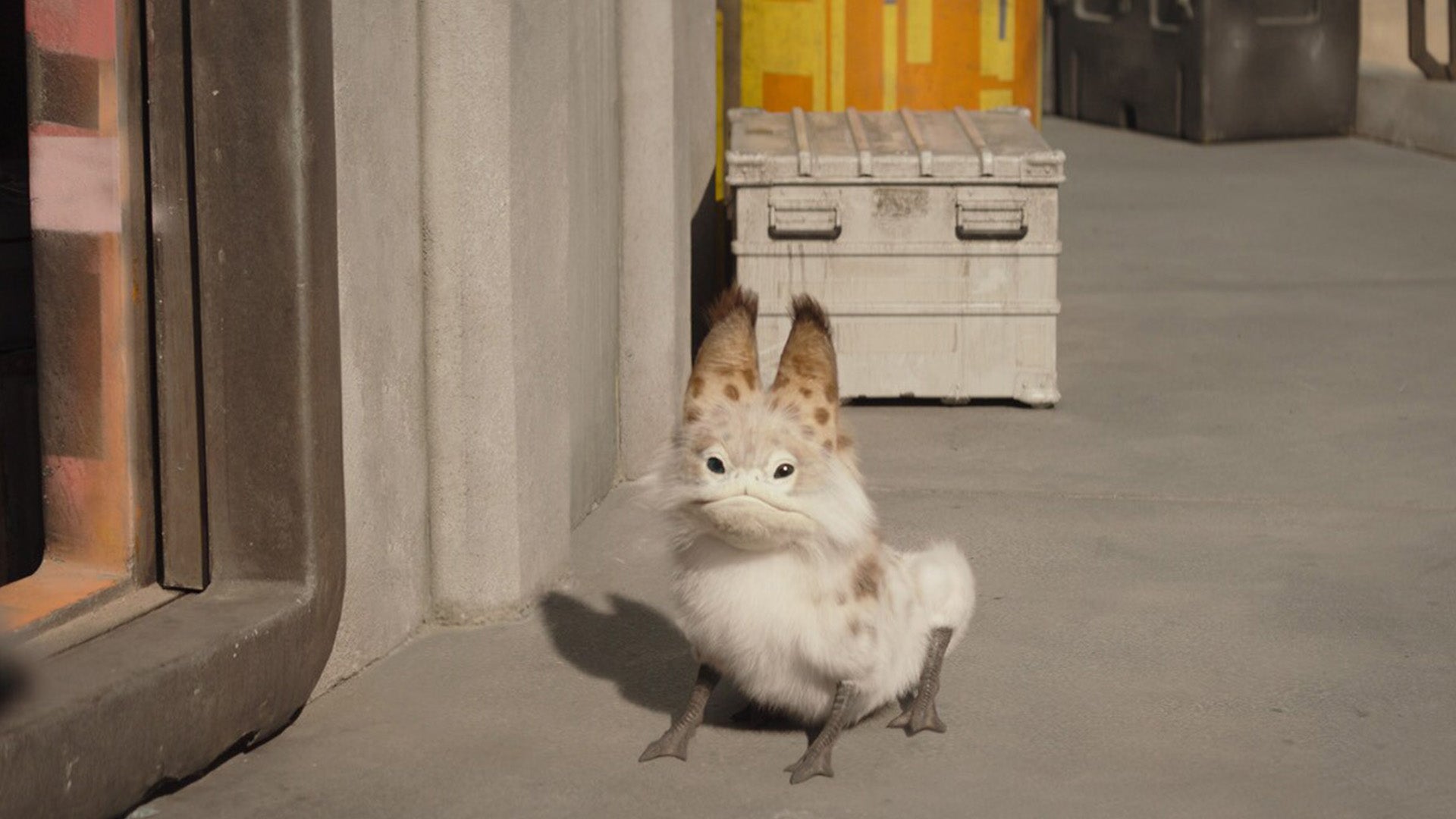 Yo moriría por este pequeño hombre. 