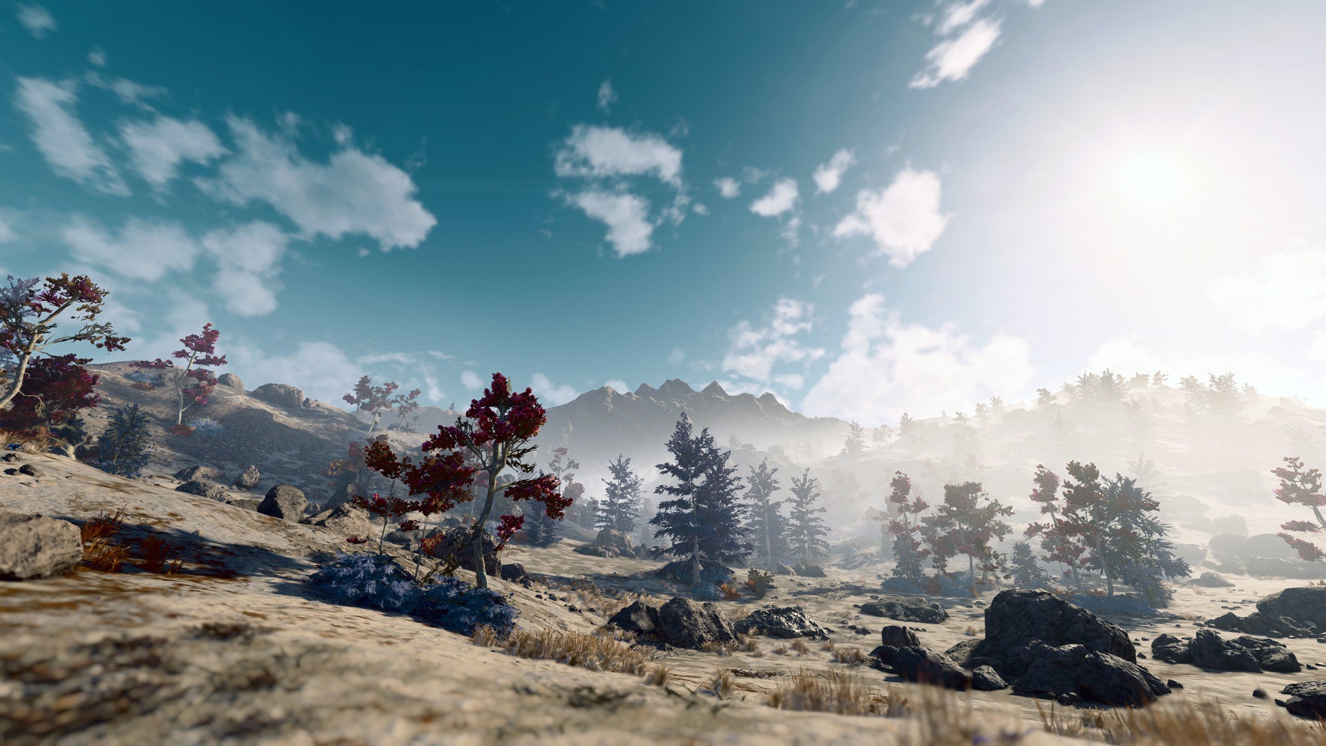 Screenshot: Bethesda Game Studios / Kotaku