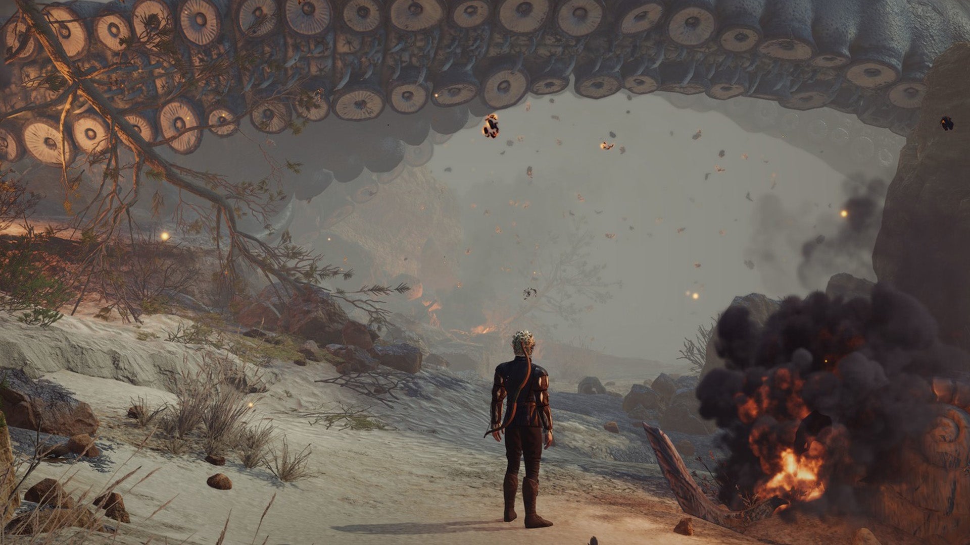 Image: Larian Studios