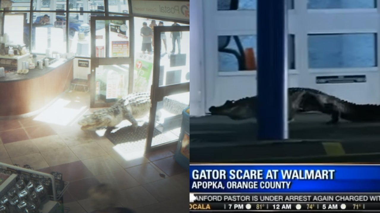 Image: Rockstar Games / Fox 35 / Kotaku