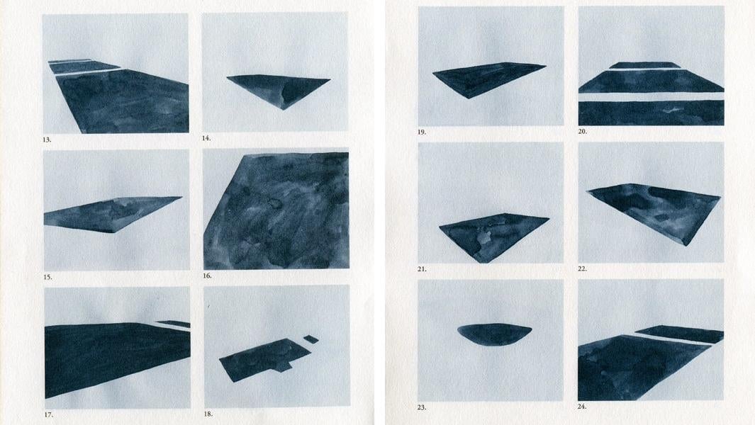 Image: Blue Rider Press / Leanne Shapton