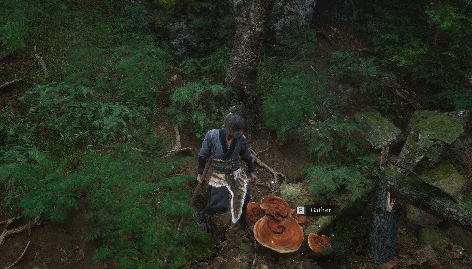 Screenshot: Game Science / Kotaku