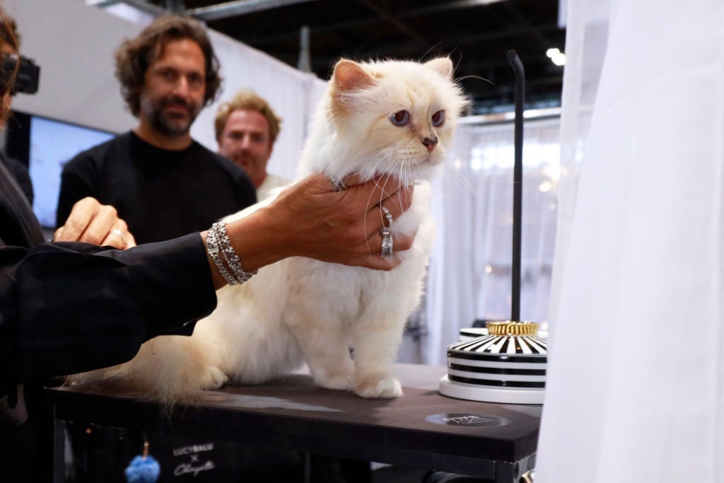 Choupette aparece en el stand de LucyBalu durante la presentación de productos de LucyBalu en Paris Nord Villepinte el 9 de septiembre de 2022 en París, Francia.