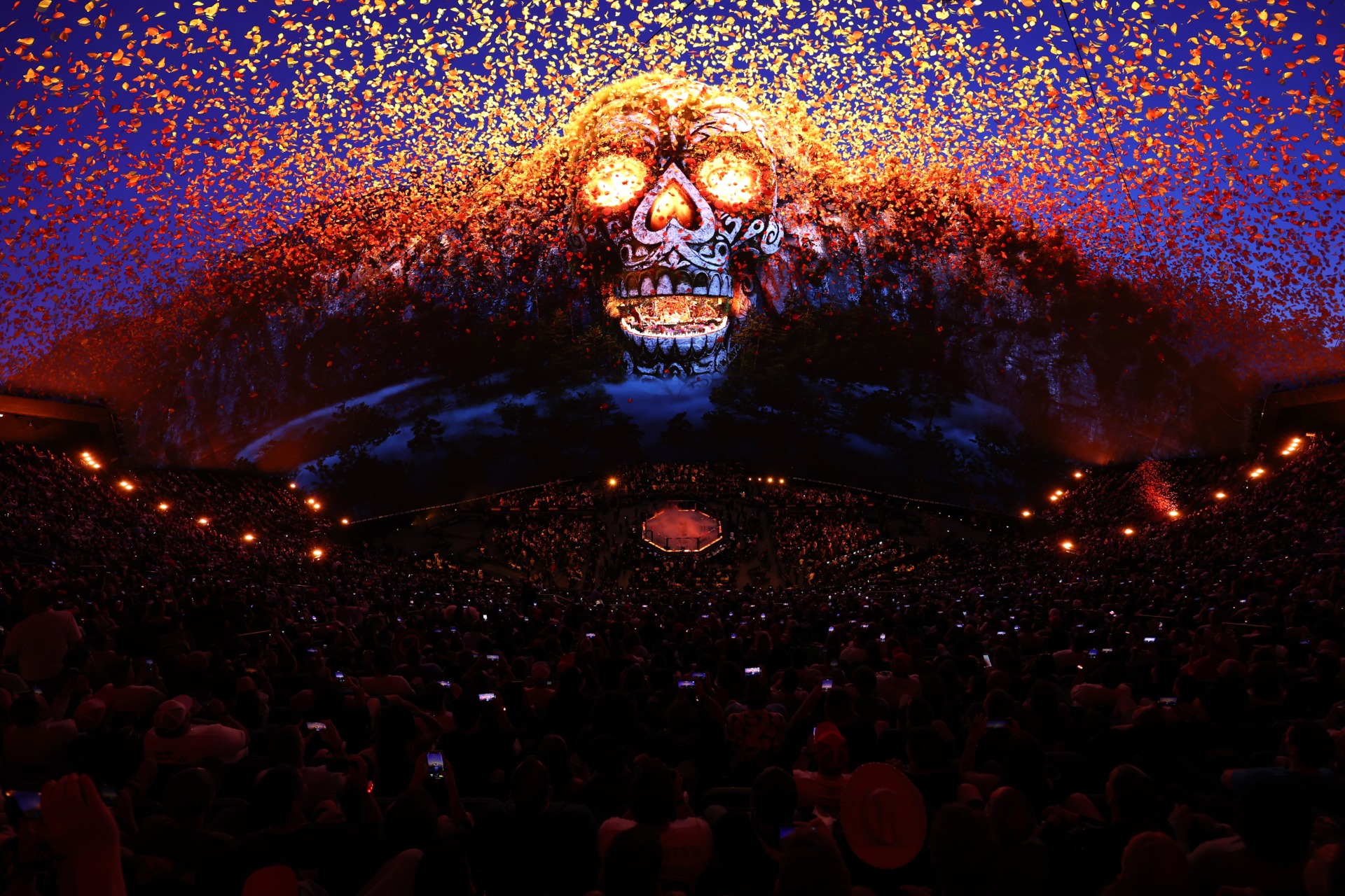 Photo: Christian Petersen/Getty Images