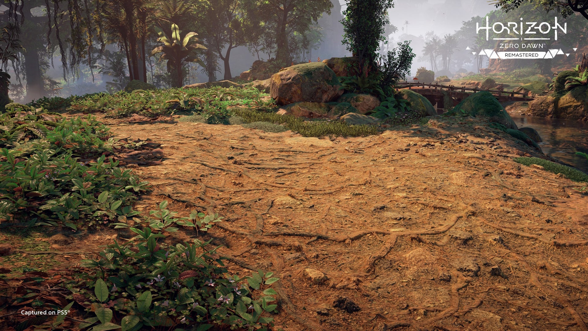 Screenshot: Sony