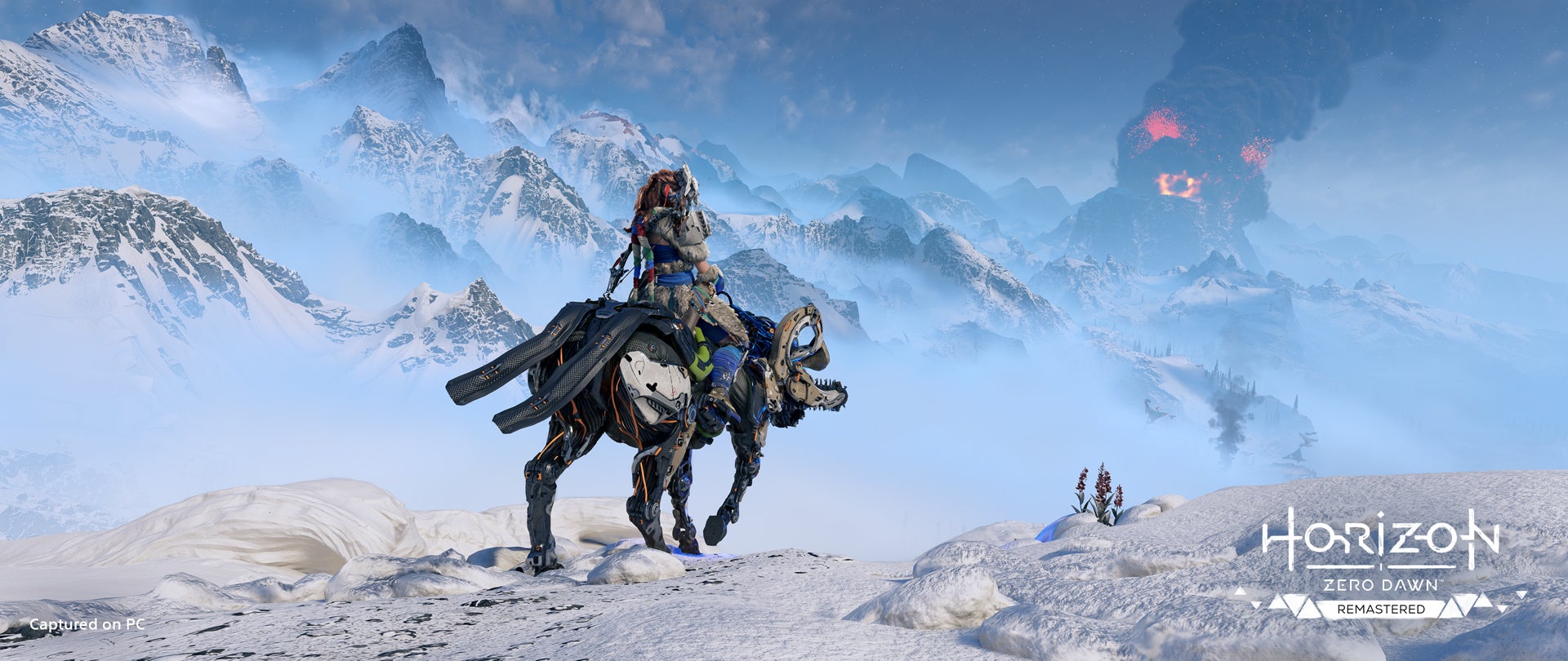 Screenshot: Sony
