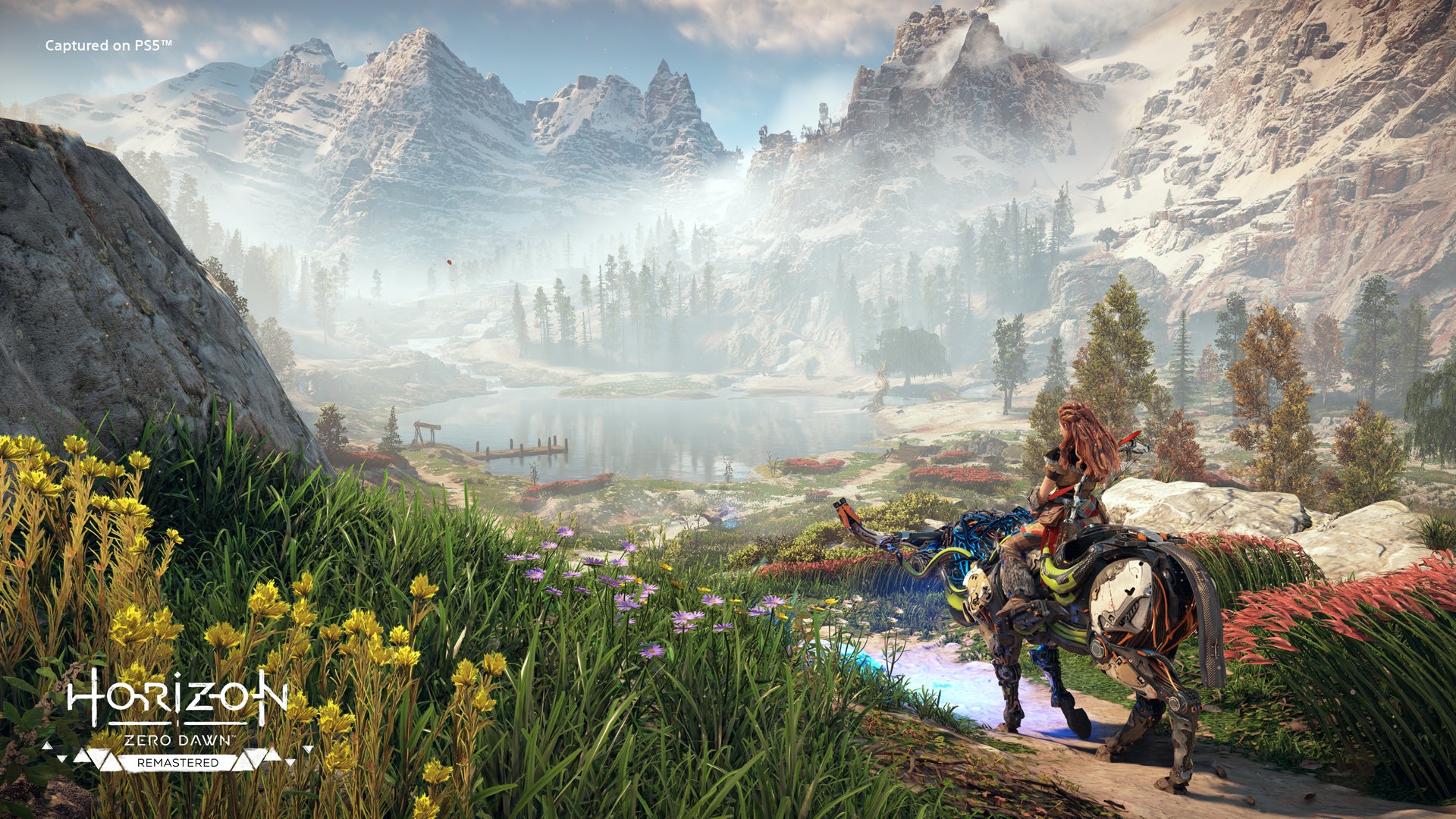 Screenshot: Sony