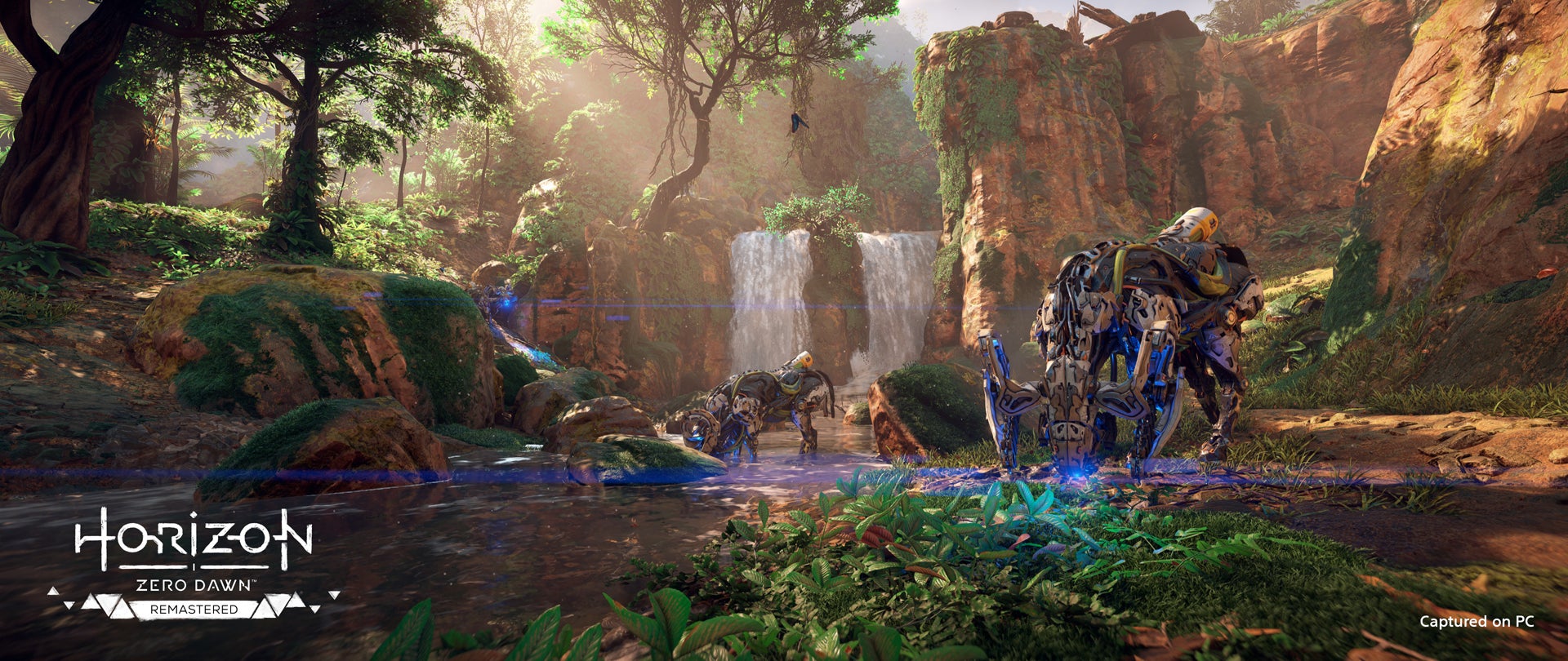 Screenshot: Sony