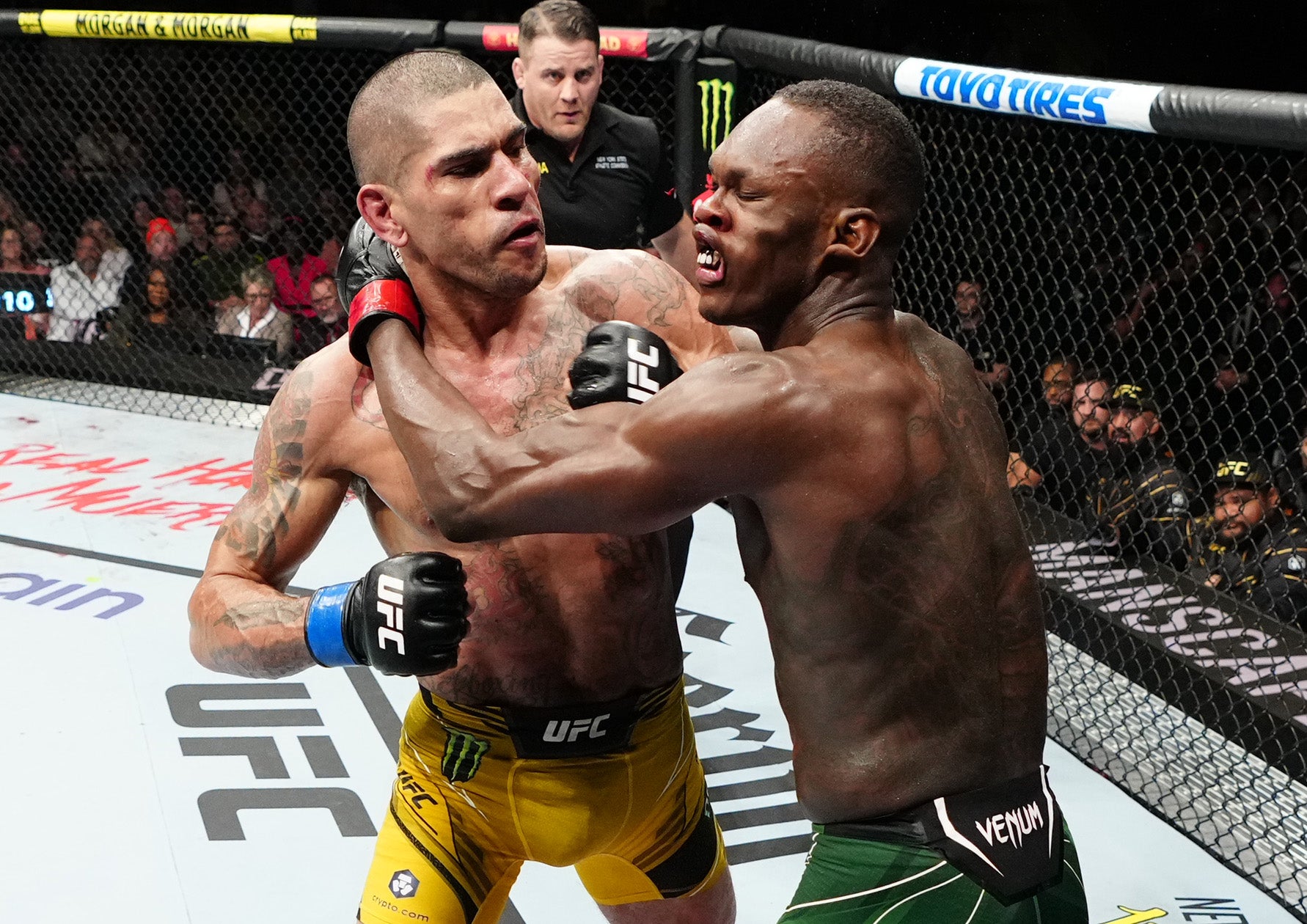 Photo: Jeff Bottari/Zuffa LLC