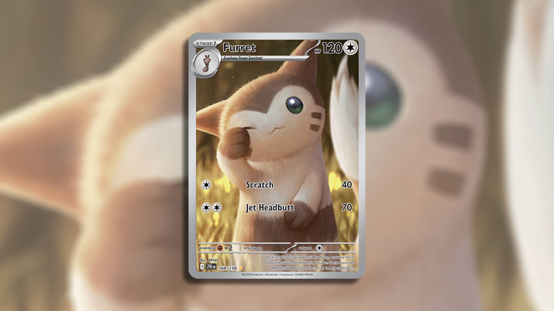 Image: The Pokémon Company / Kotaku