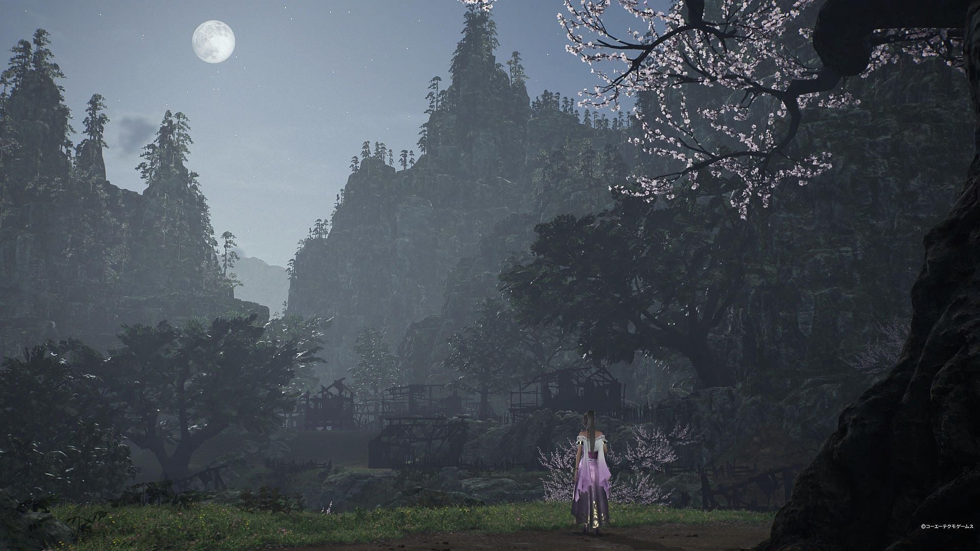 Screenshot: Koei Temco / Kotaku
