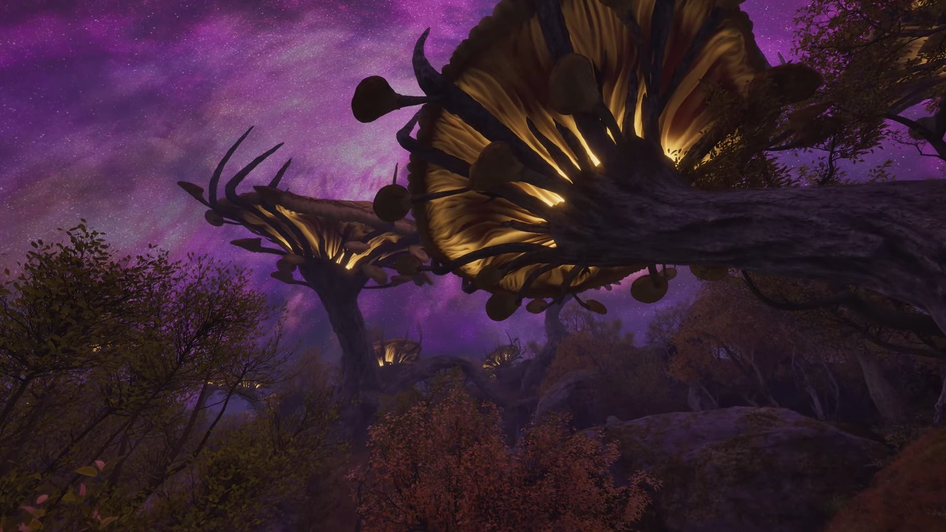 Screenshot: Bethesda / Kotaku