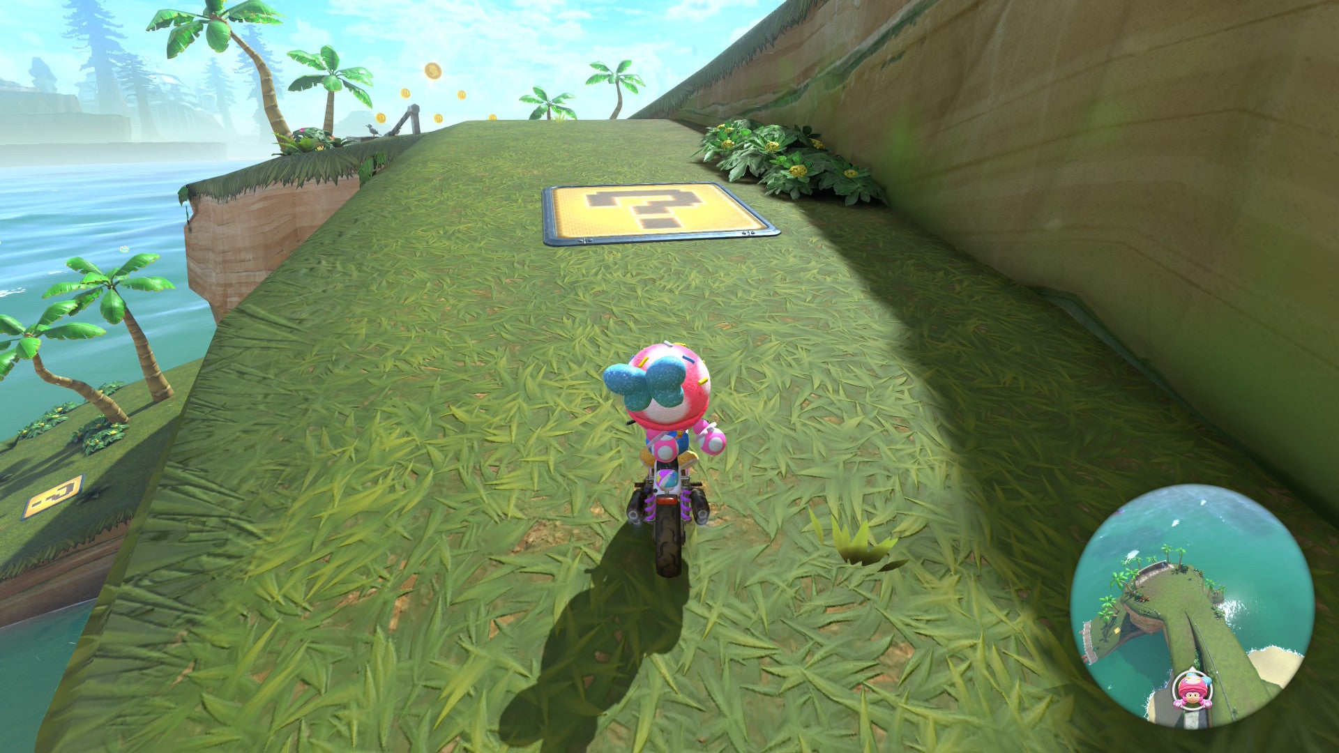 Screenshot: Nintendo / Billy Givens / Kotaku