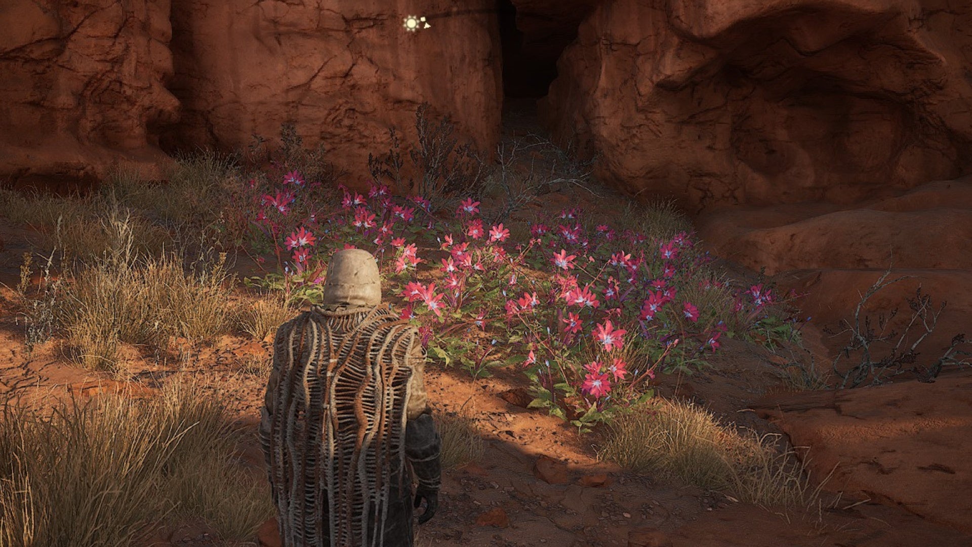 Screenshot: Funcom / Brandon Morgan / Kotaku