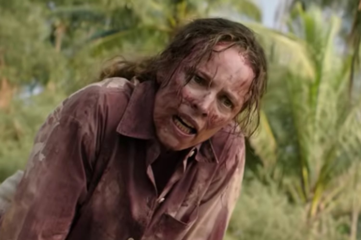 Diseño Sin Título 2026 02 03t161031.040