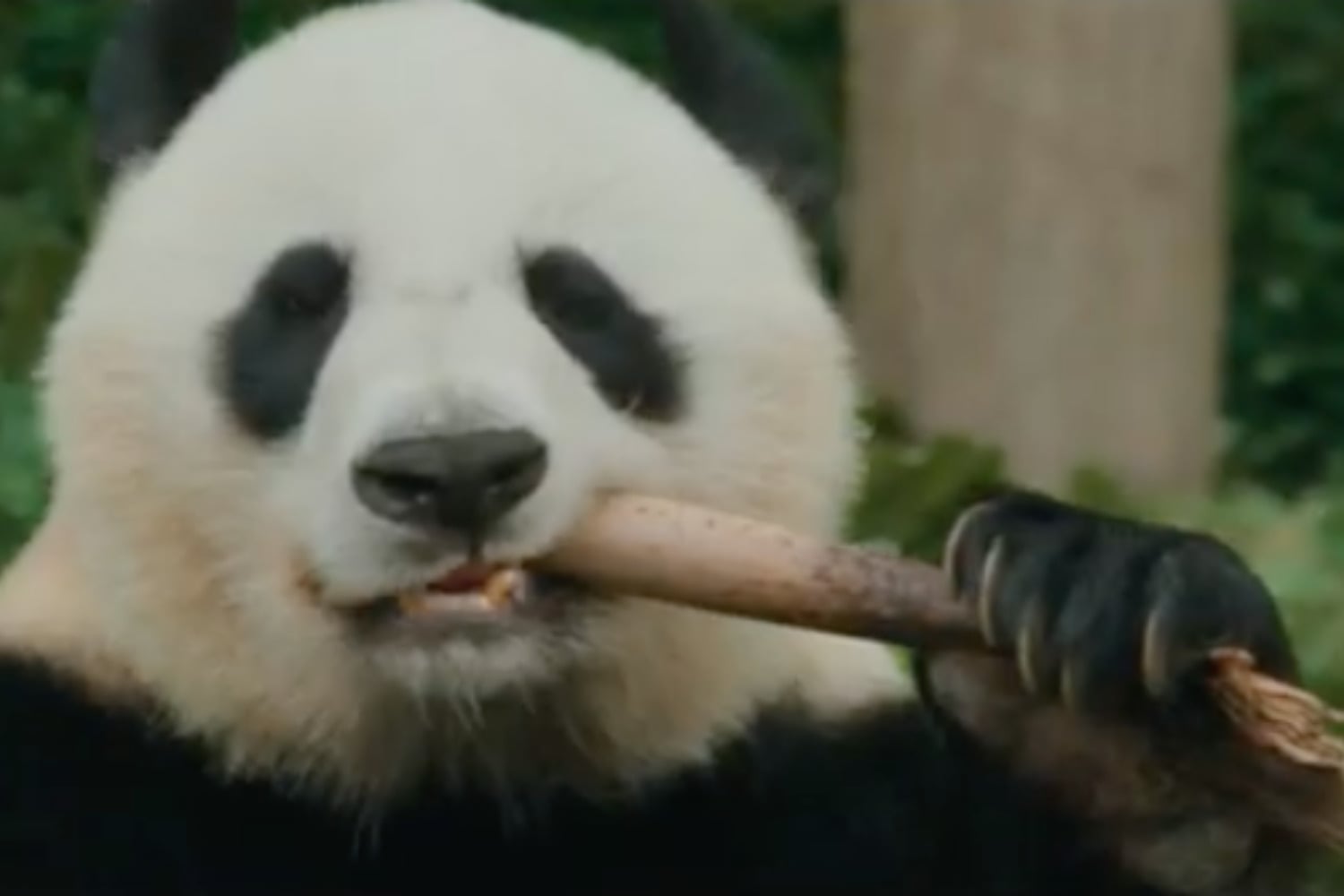 Diseño Sin Título 2026 02 04t193316.835