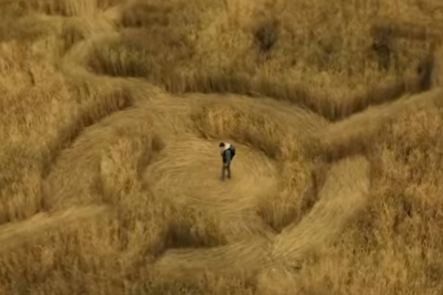 Diseño Sin Título 2026 02 10t202719.324