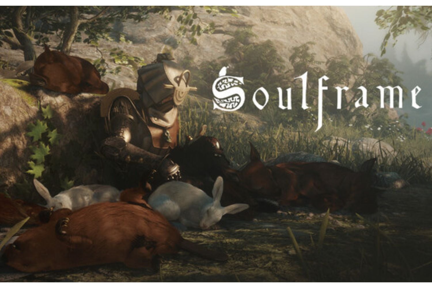 Soulframe