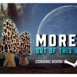 Morels: Out of This World