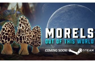 Morels: Out of This World