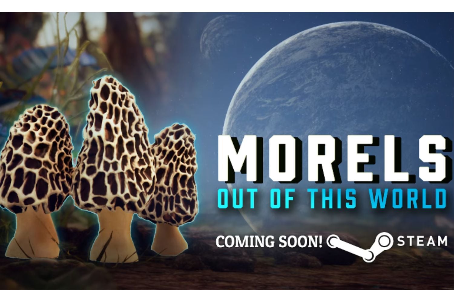 Morels: Out of This World