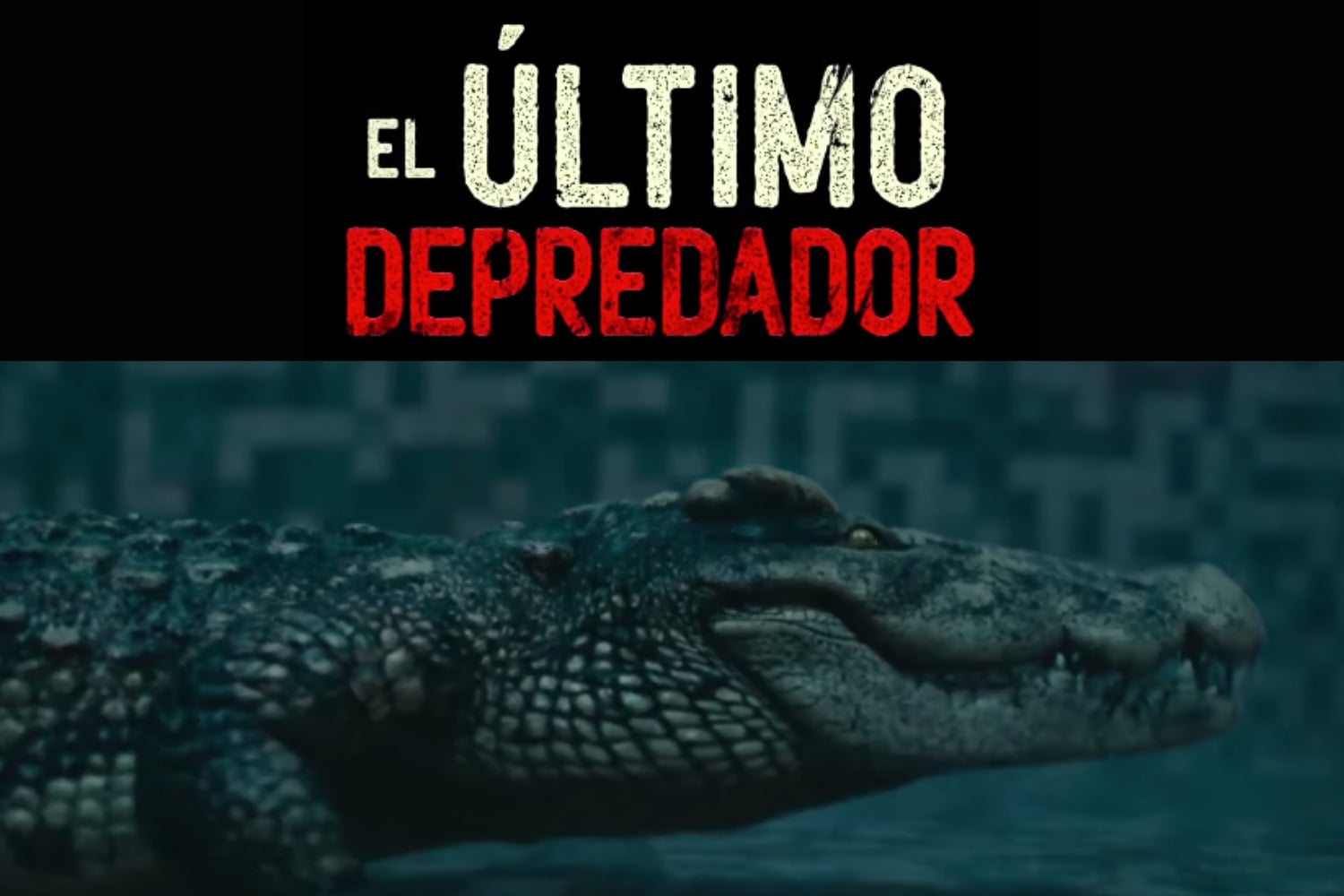 Diseño Sin Título 2026 04 18t165013.651