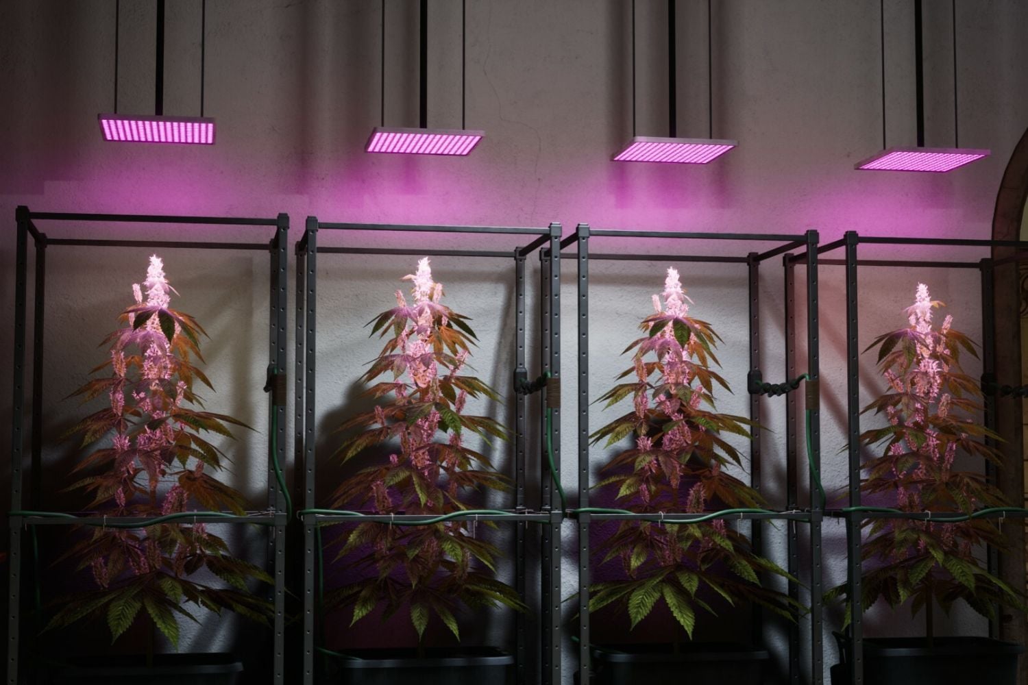 Drug Dealer Simulator 2