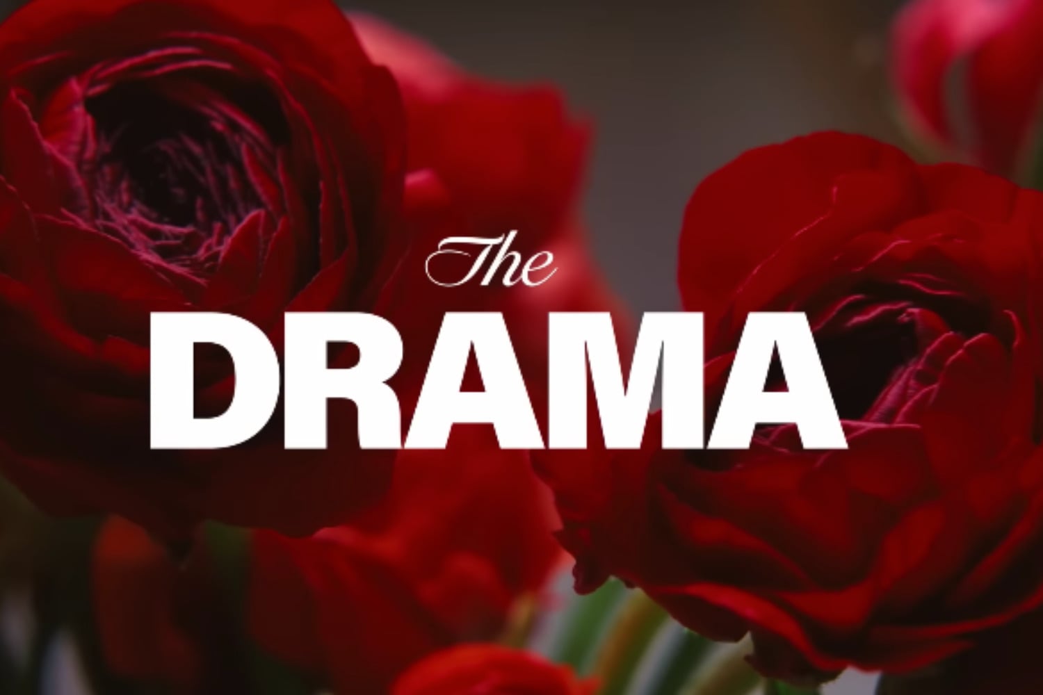 Witch Hat Atelier (35)