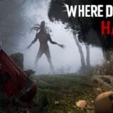 Where Dolls Hang