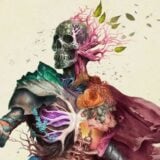 kotaku