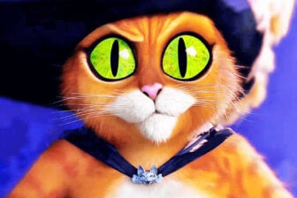 Diseño Sin Título 2026 08 12t081437.287