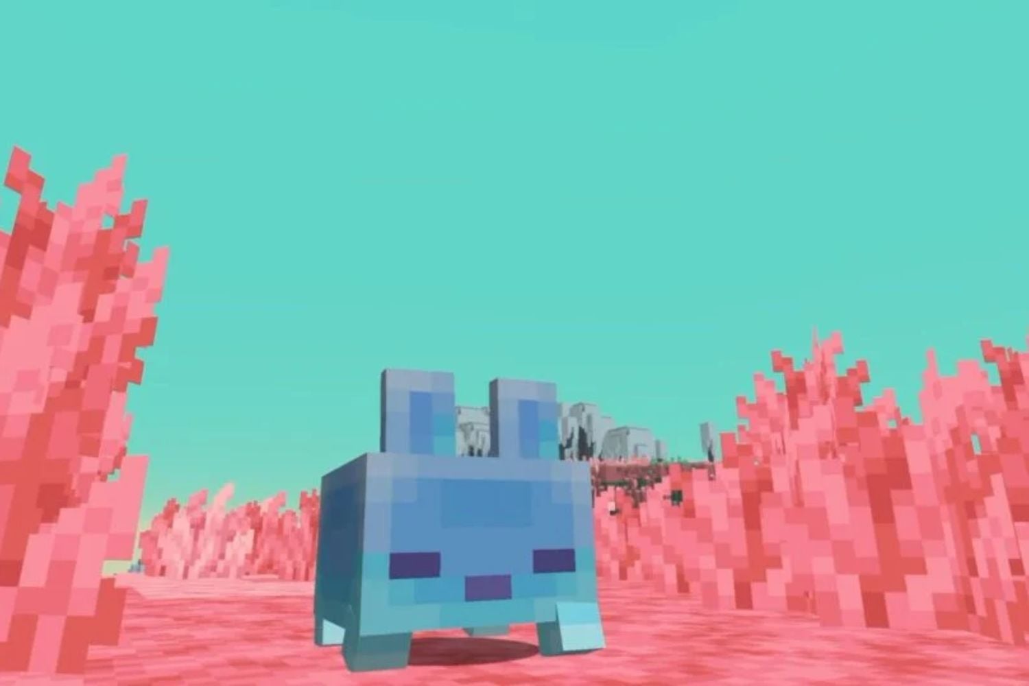 Kotaku